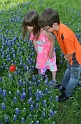 Kids_Bluebonnets2013 (191)